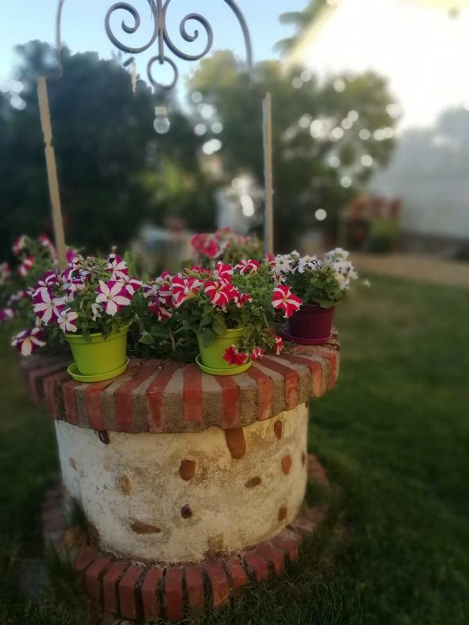 Boleta A 5 Minutos De Leon, Casa Con Jardin Villa San Andres del Rabanedo Exterior photo